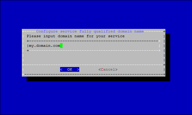 On-Premise - Domain settings