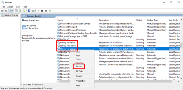 On-Premise - Restarting instance - Windows