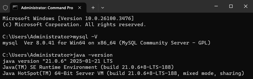 software versions