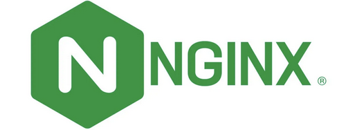 Nginx logo