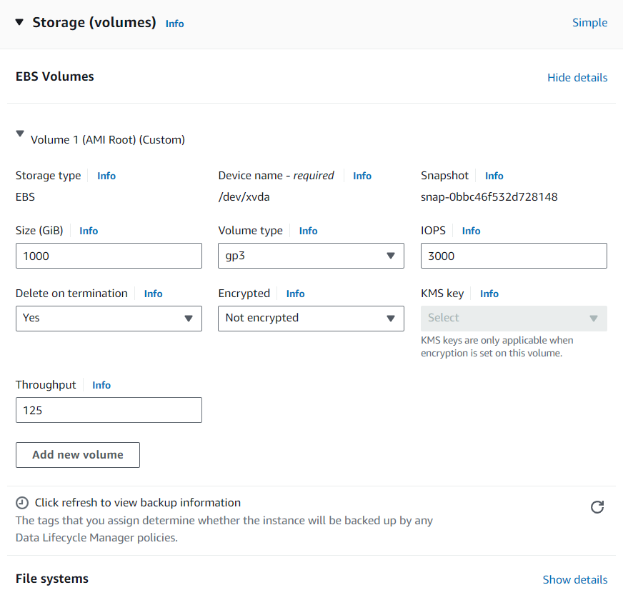 AWS instance storage for Navixy On-Premise